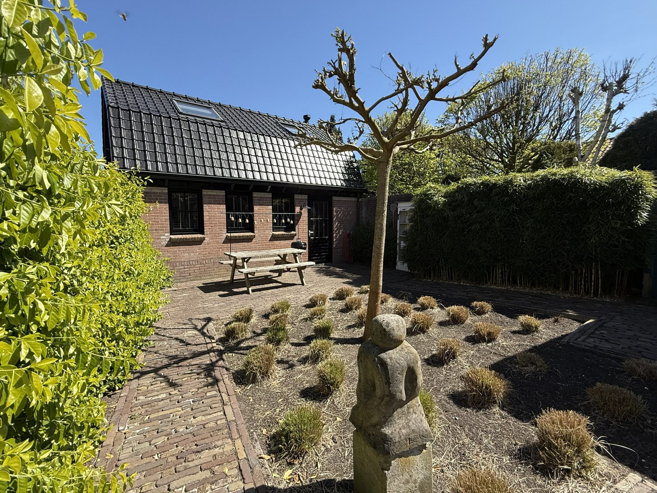 Tuin